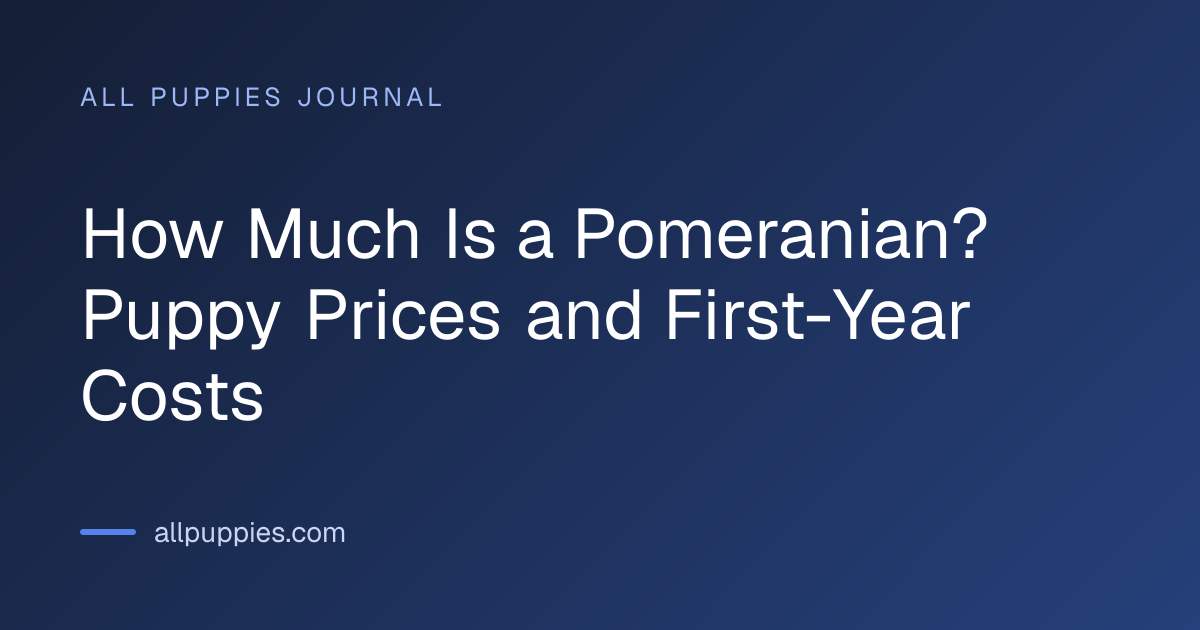 How Much Is a Pomeranian? Puppy Prices and First-Year Costs