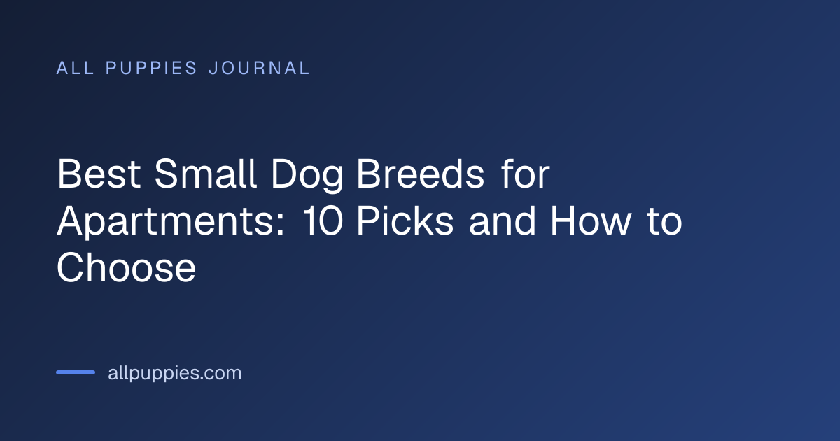 Best Small Dog Breeds for Apartments: 10 Picks and How to Choose
